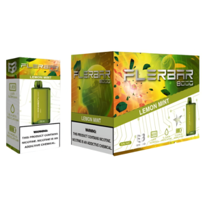 FLERBAR 8000PUFF DISPOSABLE LEMON MINT - PACK OF 10