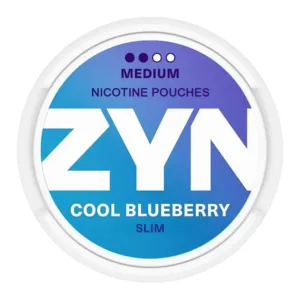ZYN  NICOTINE POUCHES COOL BLUEBERRY 6MG 5CT SW