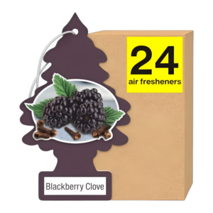 LITTLE TREES CAR FRESHENER BLACKBERRY CLOVE 24CT