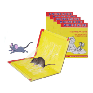 MOUSE GLUE TRAPS