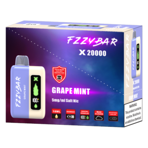 FZZYBAR 20000PUFFS DISPOSABLE GRAPE MINT 5% - PACK OF 5