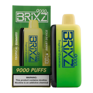 BRIXZ NYC 9000PUFFS DISPOSABLE 5CT